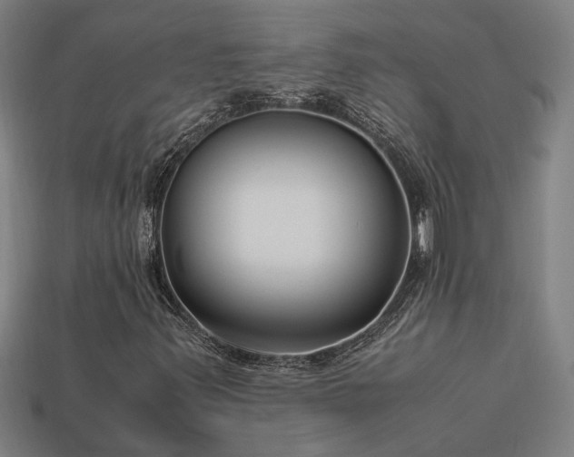 X0000113951347200909251330