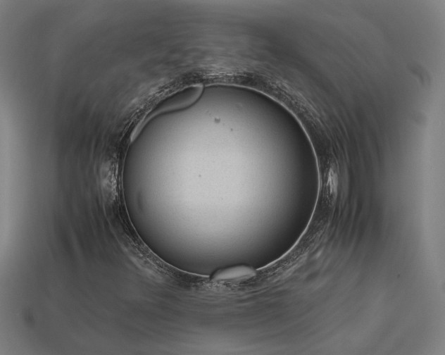 X0000113951348200909251330