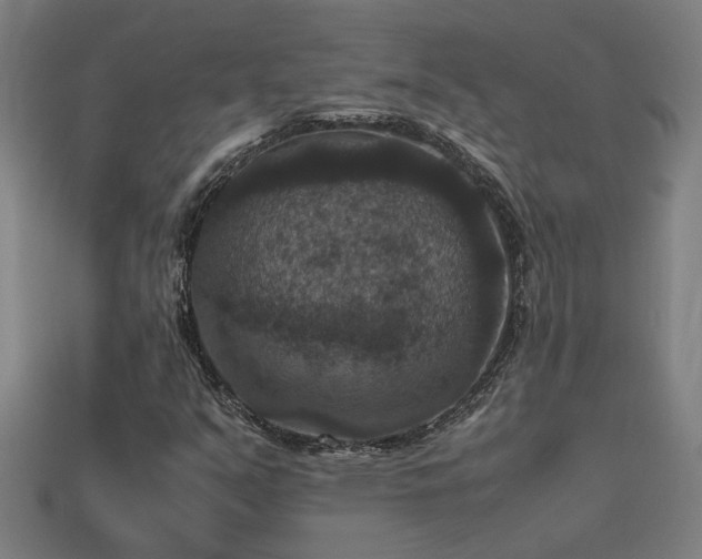 X0000113951351200909251330