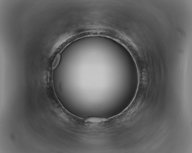 X0000113951352200909251330