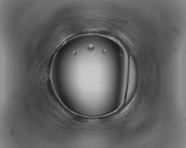 X0000113951353200909251330
