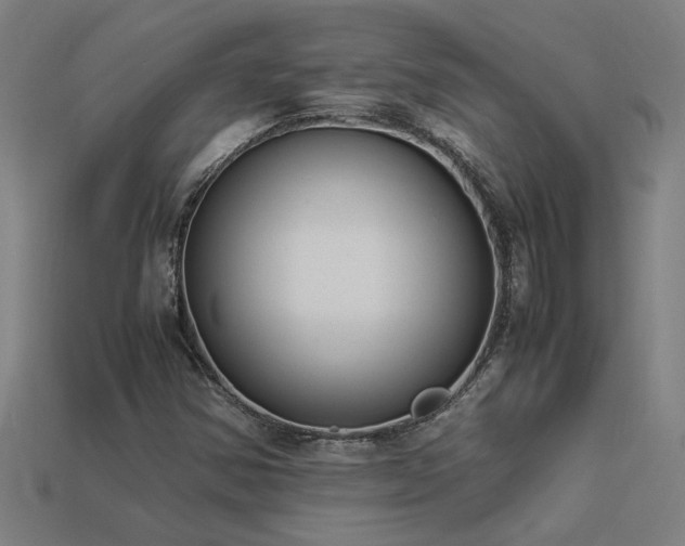 X0000113951354200909251330