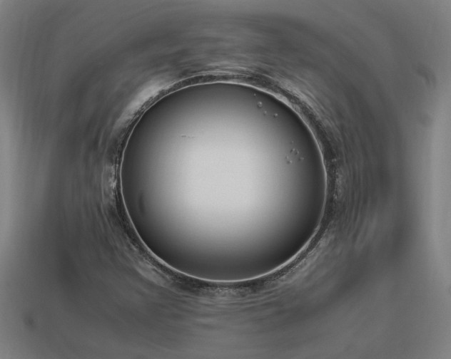 X0000113951355200909251330