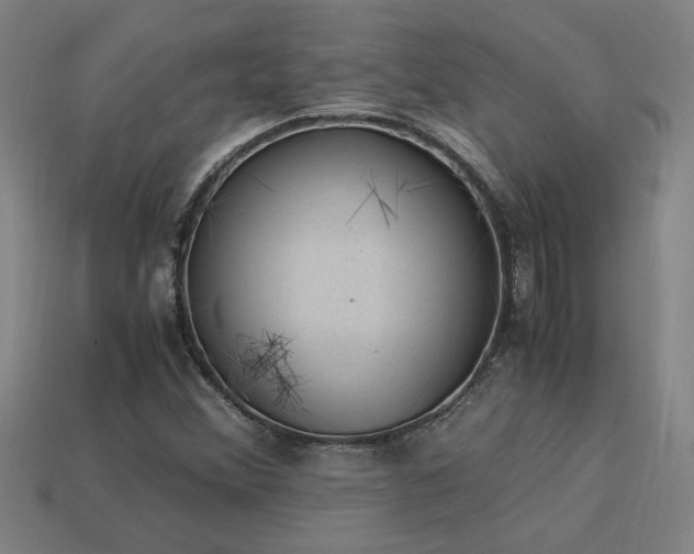 X0000113951356200909251330