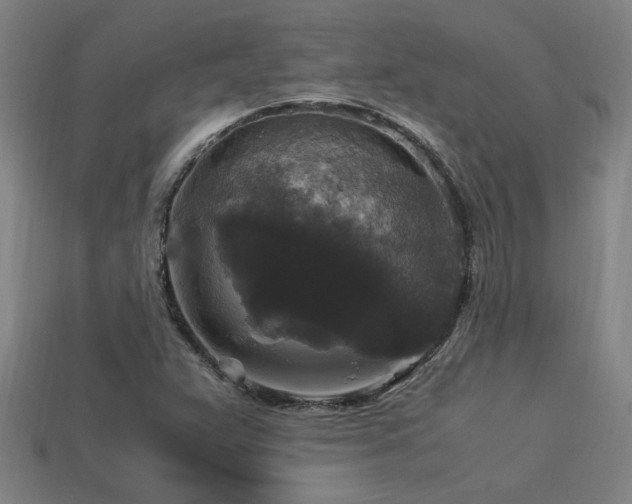 X0000113951359200909251330