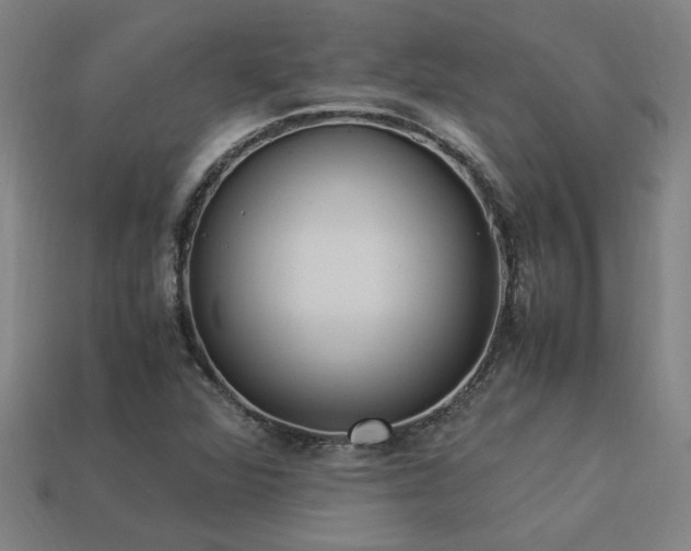 X0000113951360200909251330