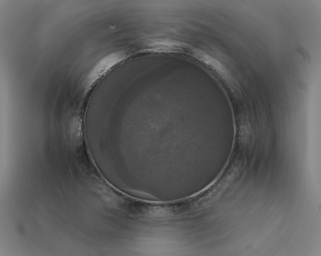 X0000113951362200909251330