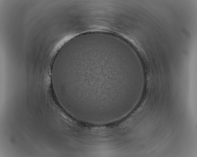 X0000113951363200909251330