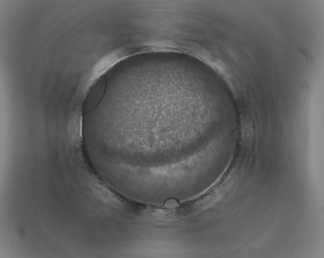 X0000113951365200909251330
