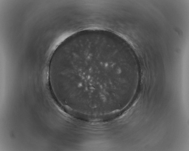 X0000113951367200909251330