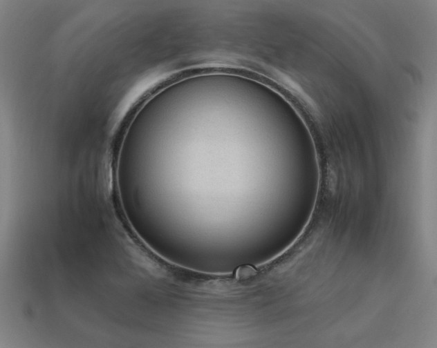 X0000113951368200909251330