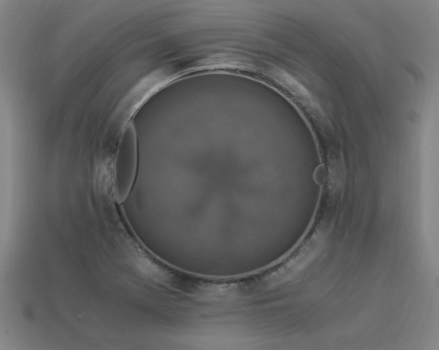X0000113951369200909251330