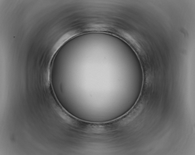 X0000113951370200909251330