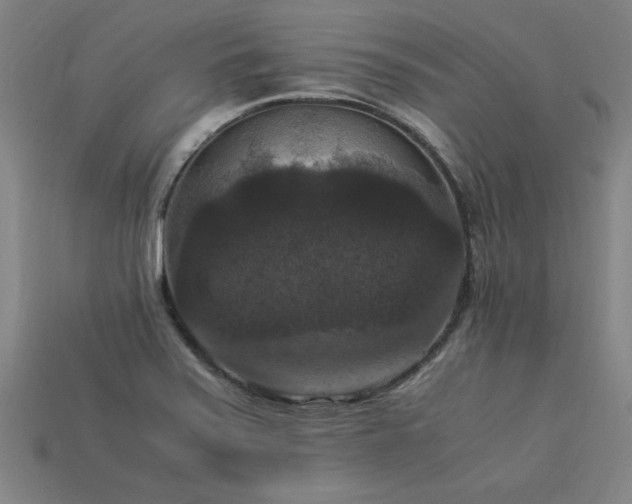 X0000113951371200909251330