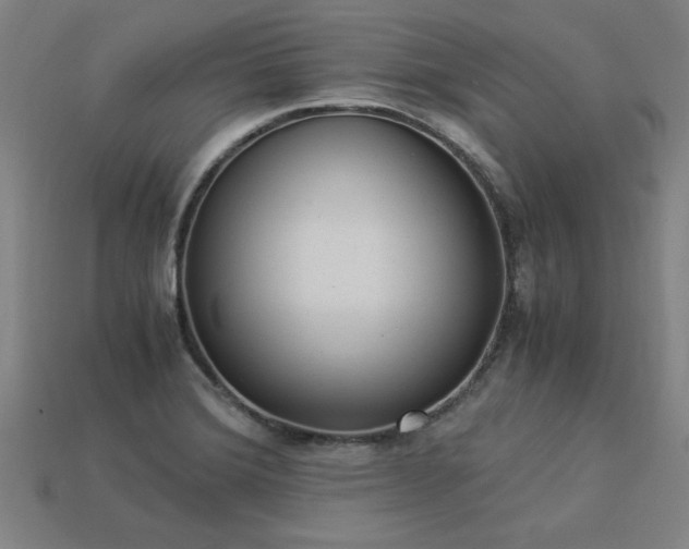 X0000113951372200909251330