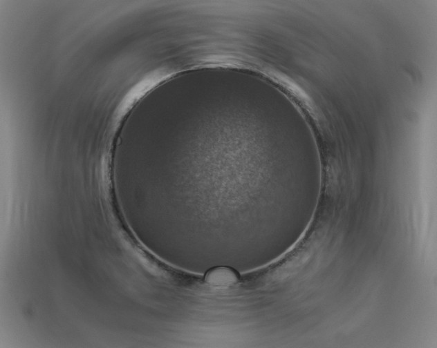 X0000113951373200909251330