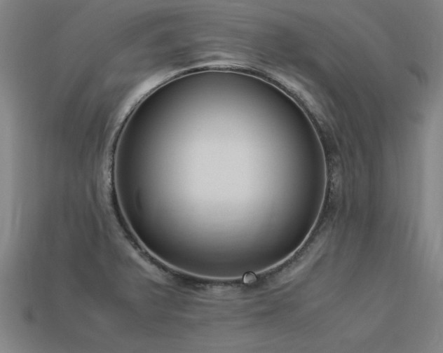 X0000113951375200909251330