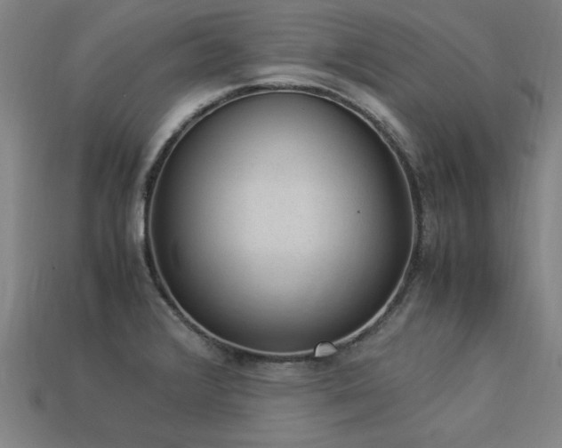 X0000113951376200909251330