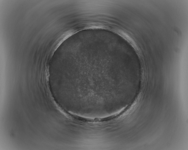 X0000113951377200909251330