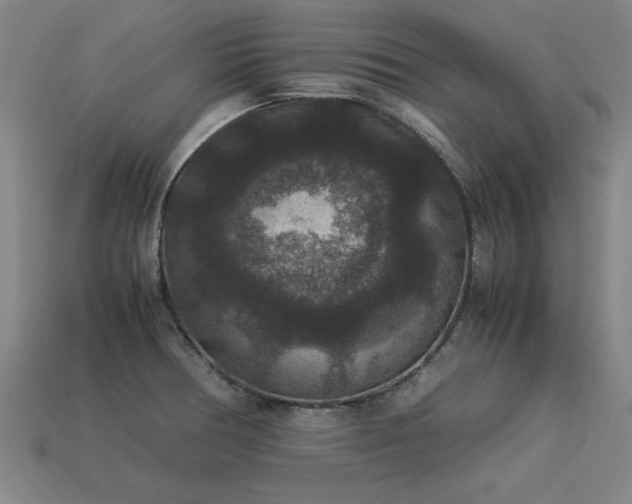 X0000113951378200909251330