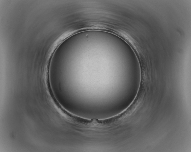 X0000113951379200909251330