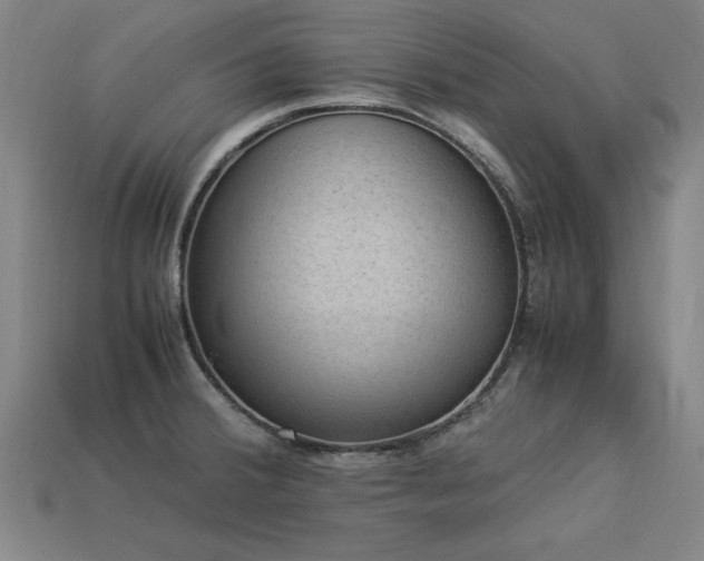 X0000113951380200909251330
