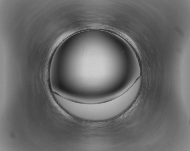 X0000113951381200909251330