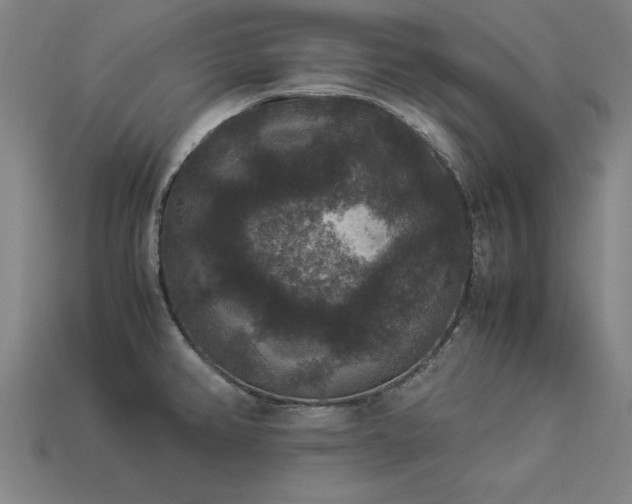 X0000113951382200909251330