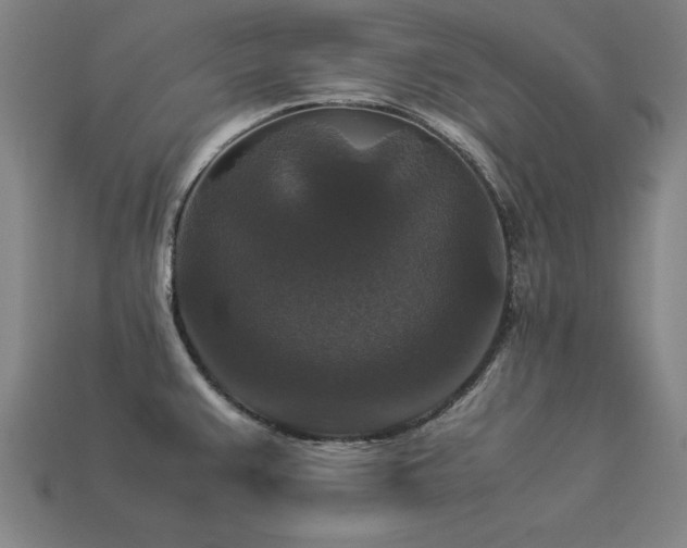 X0000113951383200909251330