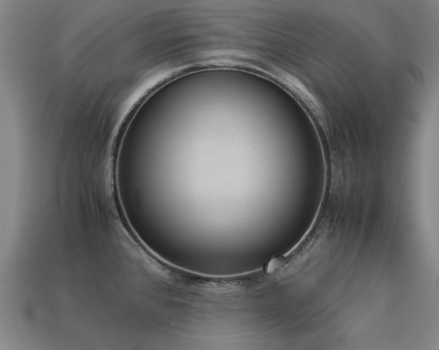 X0000113951384200909251330