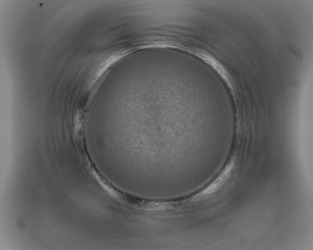 X0000113951385200909251330