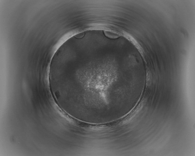 X0000113951386200909251330