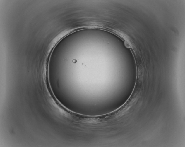 X0000113951387200909251330