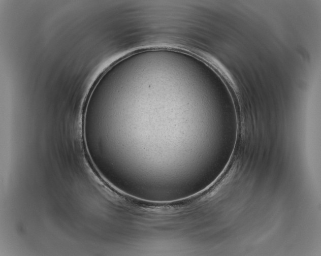 X0000113951388200909251330