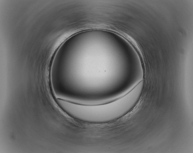 X0000113951389200909251330