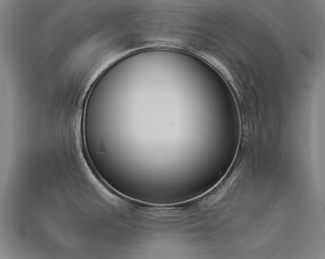 X0000113951391200909251330