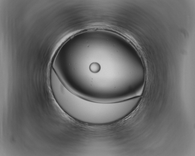 X0000113951392200909251330