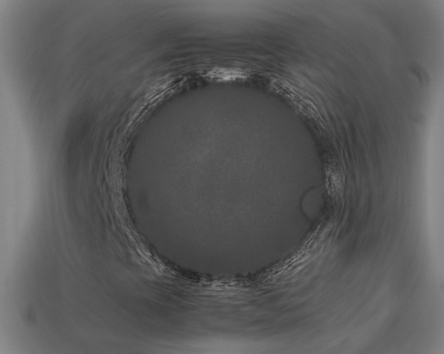 X0000113951393200909251329