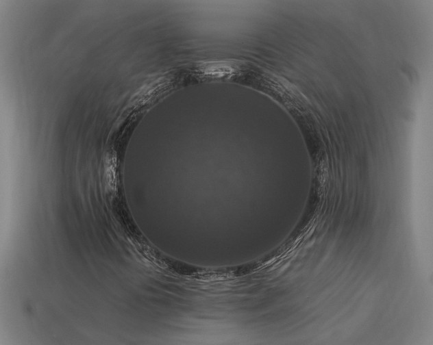 X0000113951394200909251329