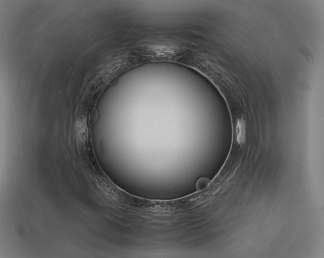 X0000113951395200909251329