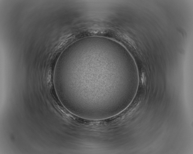 X0000113951396200909251329
