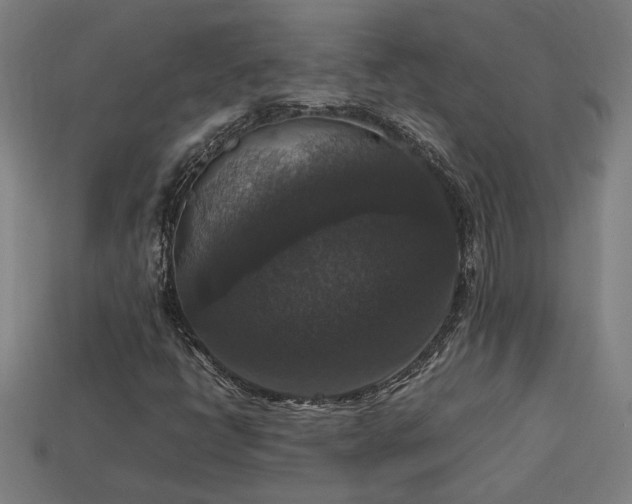 X0000113951398200909251329
