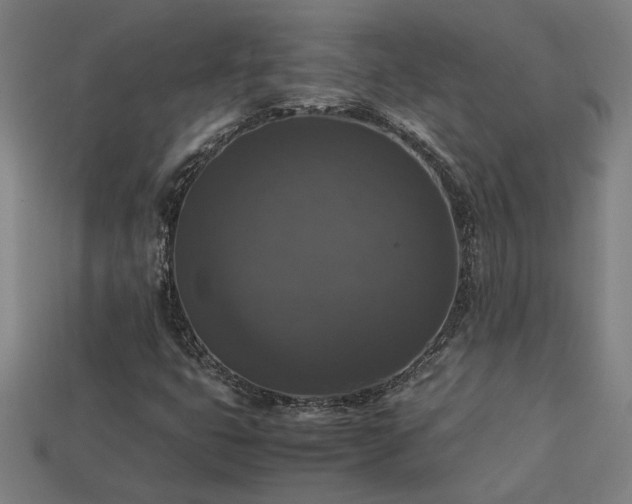 X0000113951399200909251329