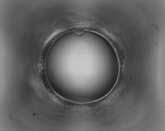 X0000113951400200909251329