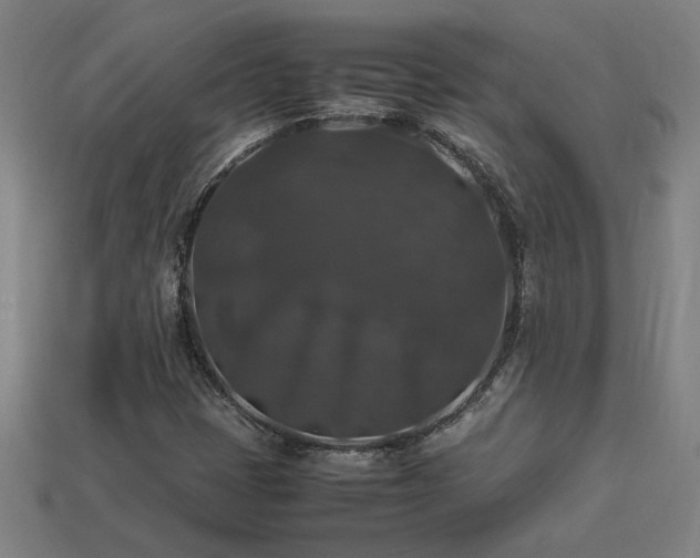 X0000113951401200909251329