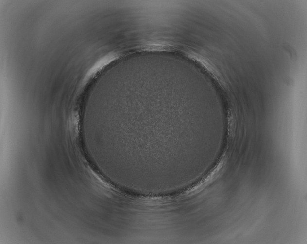 X0000113951402200909251329