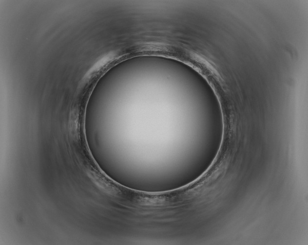 X0000113951403200909251329