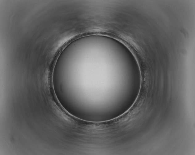X0000113951404200909251329
