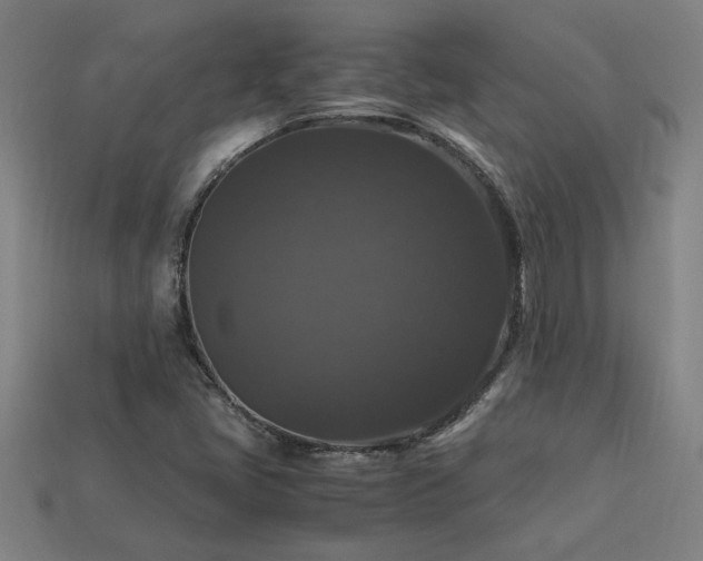 X0000113951405200909251329