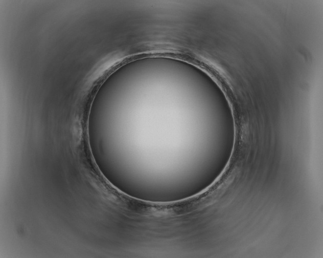 X0000113951407200909251329